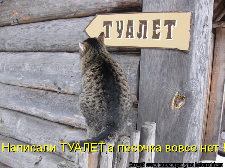Написали ТУАЛЕТ,а песочка вовсе нет !... Котоматрица: Написали ТУАЛЕТ,а песочка вовсе нет !