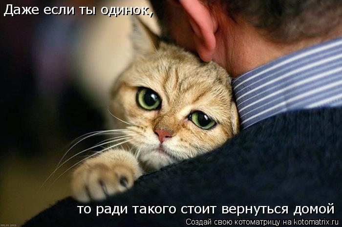 то ради такого стоит вернуться домой Даже если ты одинок,... Котоматрица: то ради такого стоит вернуться домой Даже если ты одинок,