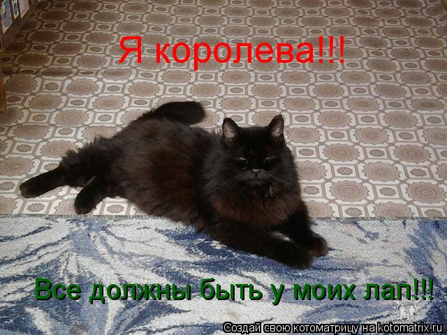 Я королева!!! Все должны быть у моих лап!!!... Котоматрица: Я королева!!! Все должны быть у моих лап!!!