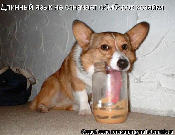 Длинный язык не означает обмборок хозяйки... Котоматрица: Длинный язык не означает обмборок хозяйки