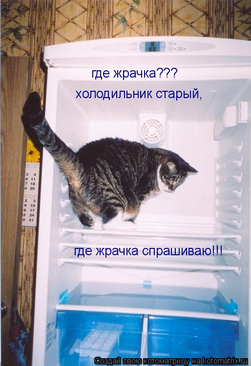 где жрачка??? холодильник старый, где жрачка спрашиваю!!! холодильник старый, где жрачка спрашиваю!!... Котоматрица: где жрачка??? холодильник старый, где жрачка спрашиваю!!! холодильник старый, где жрачка спрашиваю!!!