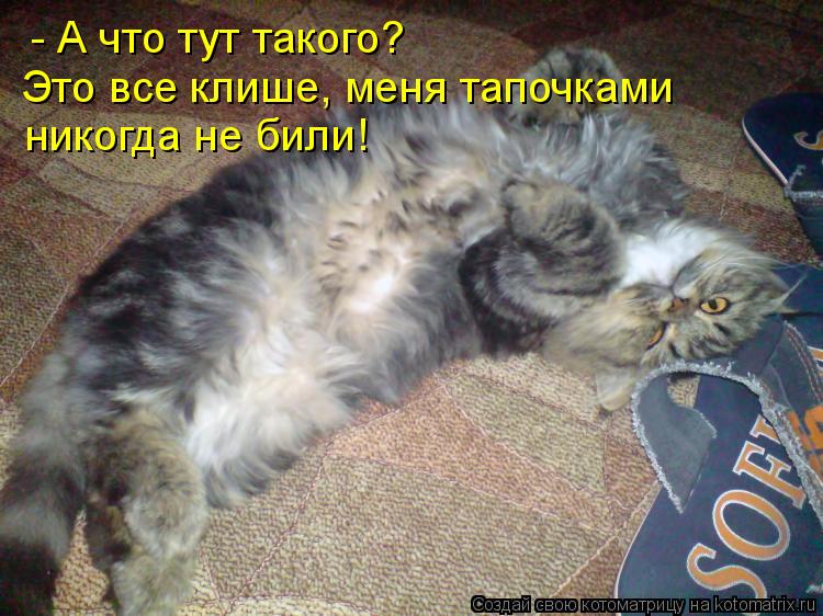 - А что тут такого? Это все клише, меня тапочками никогда не били!... Котоматрица: - А что тут такого? Это все клише, меня тапочками никогда не били!