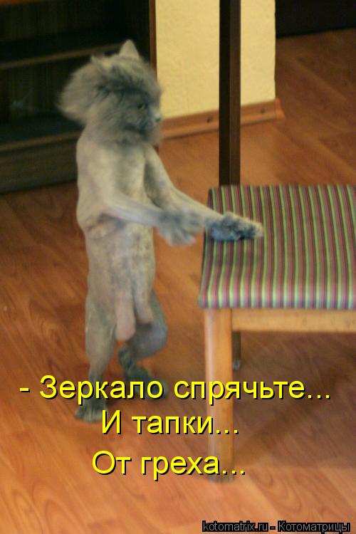 - Зеркало спрячьте... И тапки... От греха...... Котоматрица: - Зеркало спрячьте... И тапки... От греха...