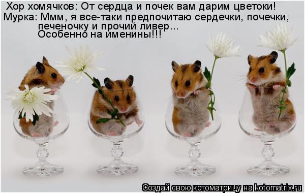 Котоматрица: Хор хомячков: От сердца и почек вам дарим цветоки! Мурка: Ммм, я все-таки предпочитаю сердечки, почечки, печеночку и прочий ливер... Мурка: Ммм,