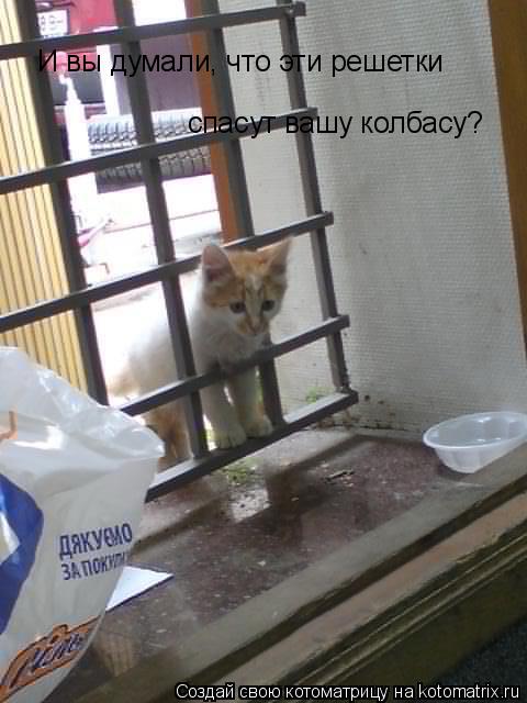 Котоматрица: И вы думали, что эти решетки спасут вашу колбасу?