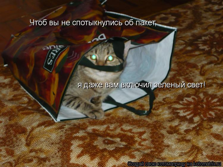 Котоматрица: Чтоб вы не спотыкнулись об пакет, я даже вам включил зеленый свет!