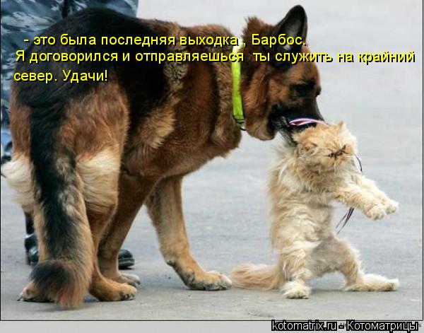 Котоматрица: - это была последняя выходка , Барбос.  Я договорился и отправляешься  ты служить на крайний  север. Удачи!