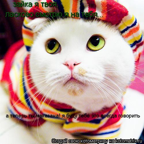 Котоматрица: зайка я твоя, ласково смотрю я на тебя... а теперь ты наказана! я буду тебе это всегда говорить