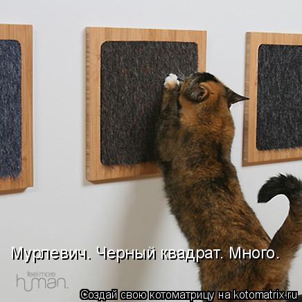 Котоматрица: Мурлевич. Черный квадрат. Много.