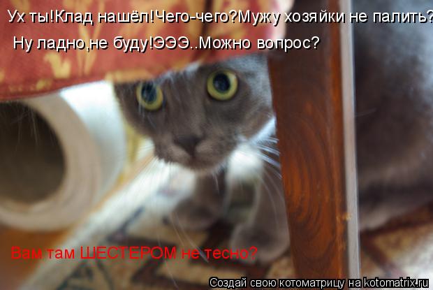 Котоматрица: Ух ты!Клад нашёл!Чего-чего?Мужу хозяйки не палить? Ну ладно,не буду!ЭЭЭ..Можно вопрос? Вам там ШЕСТЕРОМ не тесно?