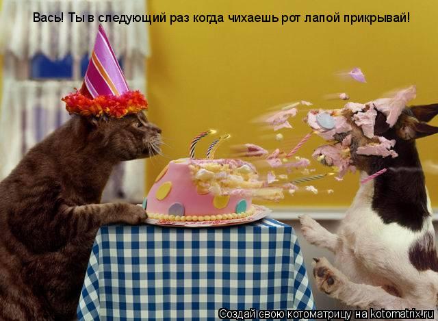 Котоматрица: Вась! Ты в следующий раз когда чихаешь рот лапой прикрывай!