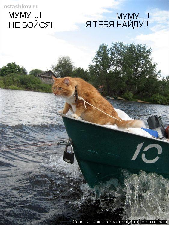 Котоматрица: МУМУ....! МУМУ....! НЕ БОЙСЯ!! Я ТЕБЯ НАЙДУ!!