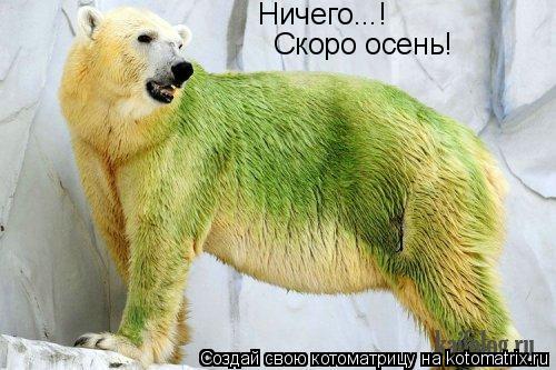 Котоматрица: Ничего...! Скоро осень!