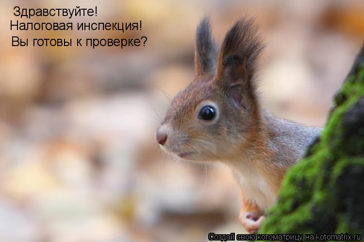 Котоматрица: Здравствуйте! Вы готовы к проверке? Налоговая инспекция!