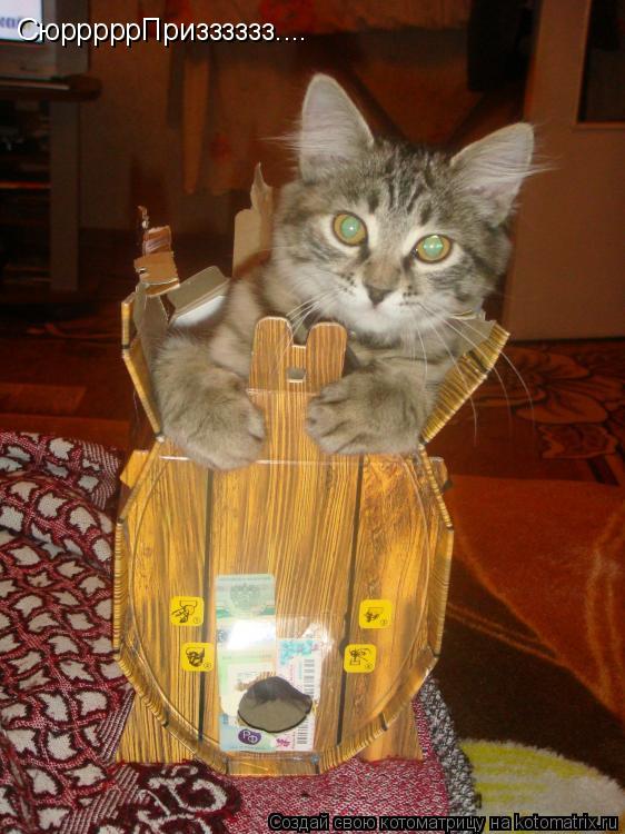 Котоматрица: СюрррррПризззззз....