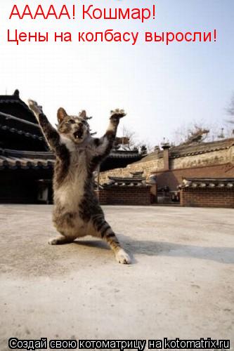 ААААА! Кошмар! Цены на колбасу выросли!... Котоматрица: ААААА! Кошмар! Цены на колбасу выросли!