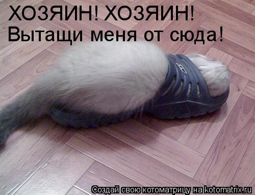 ХОЗЯИН! ХОЗЯИН! Вытащи меня от сюда!... Котоматрица: ХОЗЯИН! ХОЗЯИН! Вытащи меня от сюда!