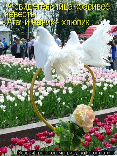 - А свидетельница красивее невесты. - Ага, и жених - хлюпик.... Котоматрица: - А свидетельница красивее невесты. - Ага, и жених - хлюпик.