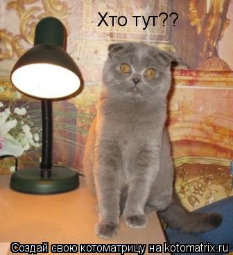 Хто тут??... Котоматрица: Хто тут??