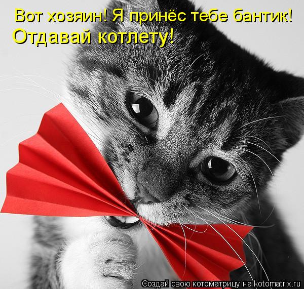 Отдавай котлету! Вот хозяин! Я принёс тебе бантик!... Котоматрица: Отдавай котлету! Вот хозяин! Я принёс тебе бантик!