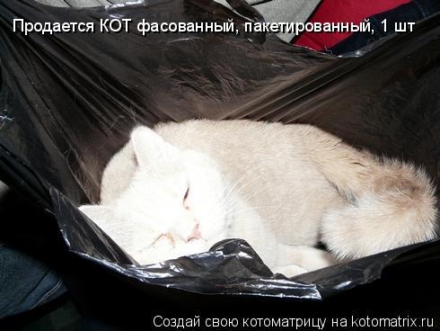 Продается КОТ фасованный, пакетированный, 1 шт... Котоматрица: Продается КОТ фасованный, пакетированный, 1 шт