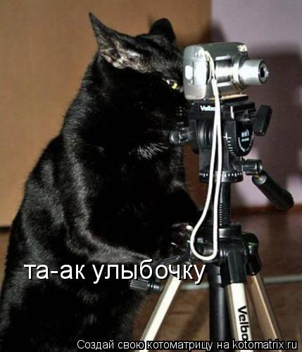 та-ак улыбочку... Котоматрица: та-ак улыбочку