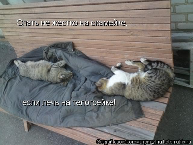 Спать не жестко на скамейке, если лечь на телогрейке!... Котоматрица: Спать не жестко на скамейке, если лечь на телогрейке!