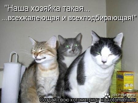 "Наша хозяйка такая... ...всехжалеющая и всехподбирающая!"... Котоматрица: "Наша хозяйка такая... ...всехжалеющая и всехподбирающая!"