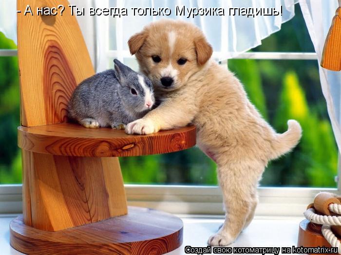 - А нас? Ты всегда только Мурзика гладишь!... Котоматрица: - А нас? Ты всегда только Мурзика гладишь!