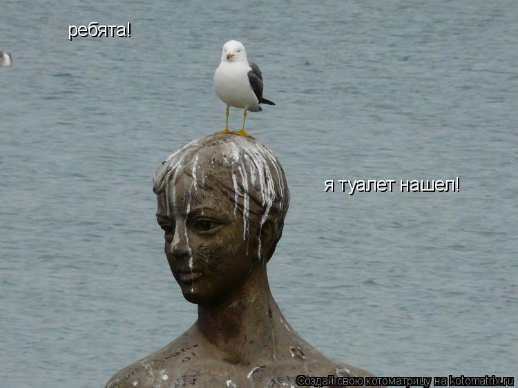 ребята! я туалет нашел!... Котоматрица: ребята! я туалет нашел!