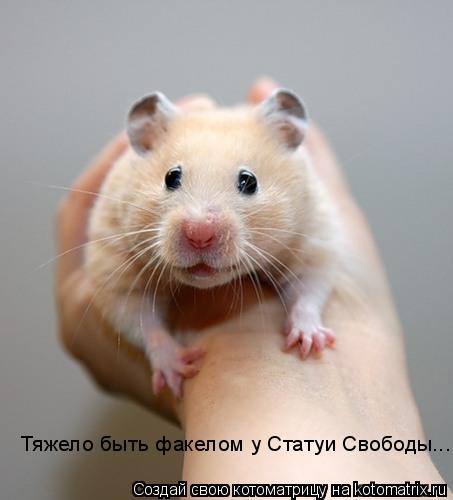 Тяжело быть факелом у Статуи Свободы...... Котоматрица: Тяжело быть факелом у Статуи Свободы...