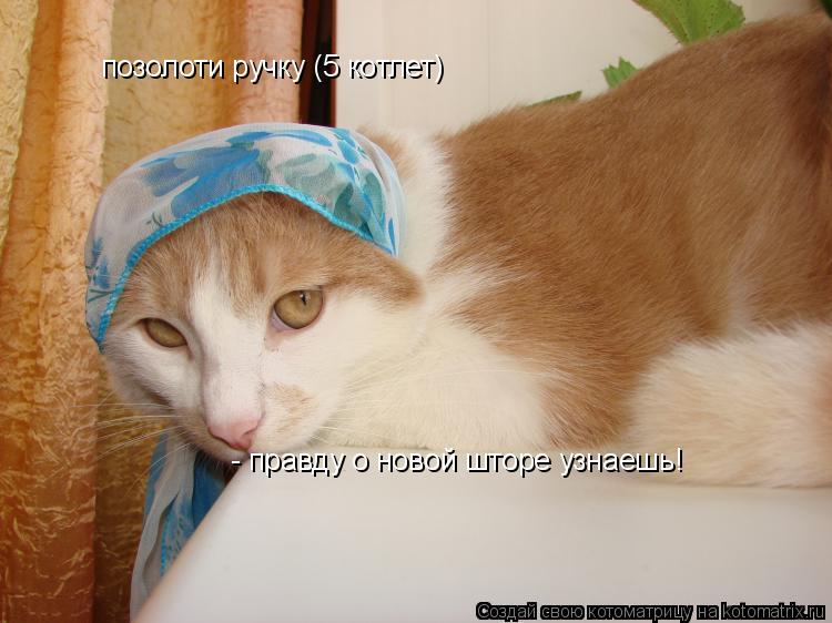 - правду о новой шторе узнаешь! позолоти ручку (5 котлет)... Котоматрица: - правду о новой шторе узнаешь! позолоти ручку (5 котлет)