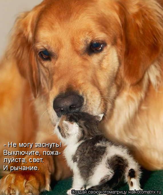 - Не могу заснуть! Выключите, пожа- луйста, свет. И рычание.... Котоматрица: - Не могу заснуть! Выключите, пожа- луйста, свет. И рычание.