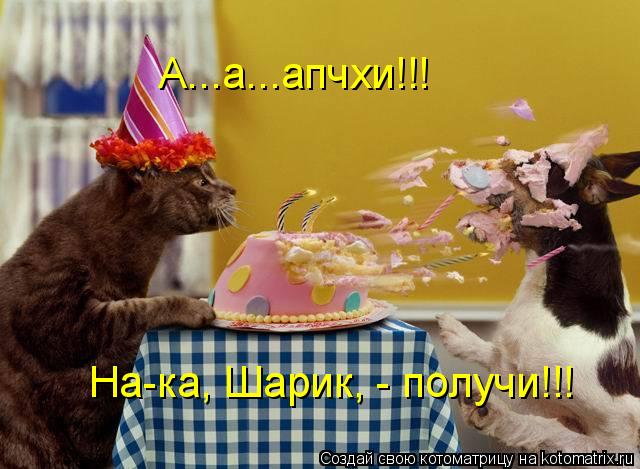 А...а...апчхи!!! На-ка, Шарик, - получи!!!... Котоматрица: А...а...апчхи!!! На-ка, Шарик, - получи!!!