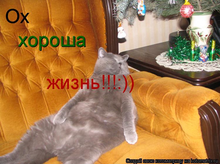 Ох хороша жизнь!!!:))... Котоматрица: Ох хороша жизнь!!!:))
