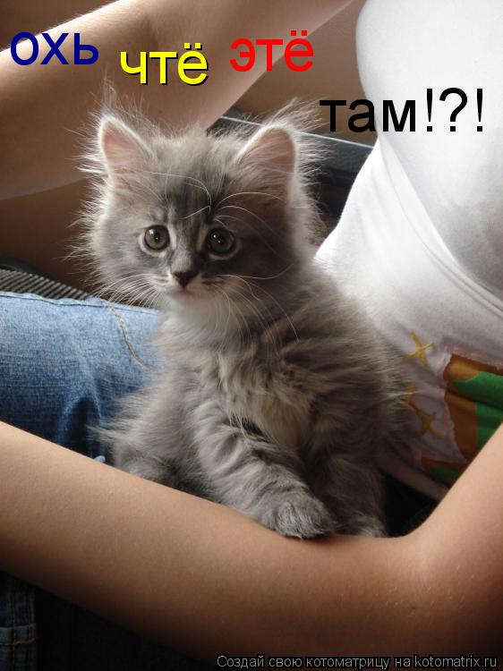 охь чтё этё там!?!... Котоматрица: охь чтё этё там!?!
