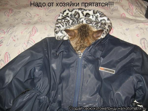Надо от хозяйки прятатся!!!... Котоматрица: Надо от хозяйки прятатся!!!