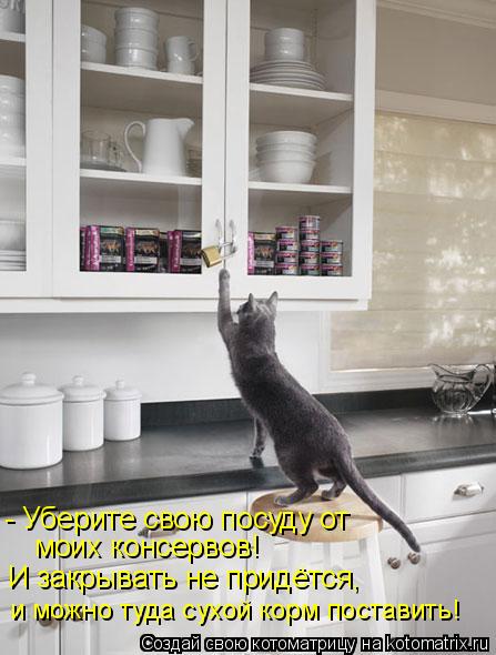 - Уберите свою посуду от моих консервов! И закрывать не придётся, и можно туда сухой корм поставить!... Котоматрица: - Уберите свою посуду от моих консервов! И закрывать не придётся, и можно туда сухой корм поставить!