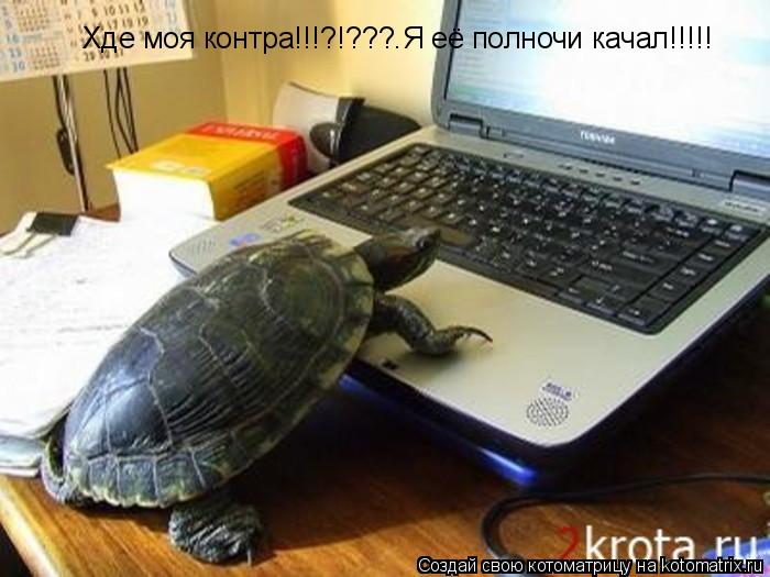 Хде моя контра!!!?!???.Я её полночи качал!!!!!... Котоматрица: Хде моя контра!!!?!???.Я её полночи качал!!!!!