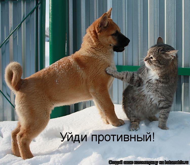 Уйди противный!... Котоматрица: Уйди противный!