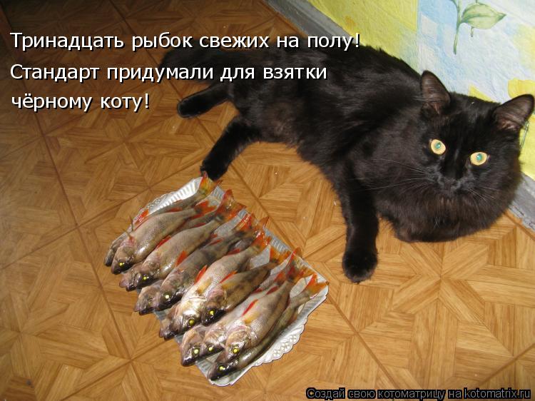 Стандарт придумали для взятки чёрному коту! Тринадцать рыбок свежих на полу!... Котоматрица: Стандарт придумали для взятки чёрному коту! Тринадцать рыбок свежих на полу!