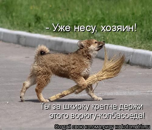 Ты за шкирку крепче держи! Ты за шкирку крепче держи этого ворюгу-колбасоеда! - Уже несу, хозяин!... Котоматрица: Ты за шкирку крепче держи! Ты за шкирку крепче держи этого ворюгу-колбасоеда! - Уже несу, хозяин!