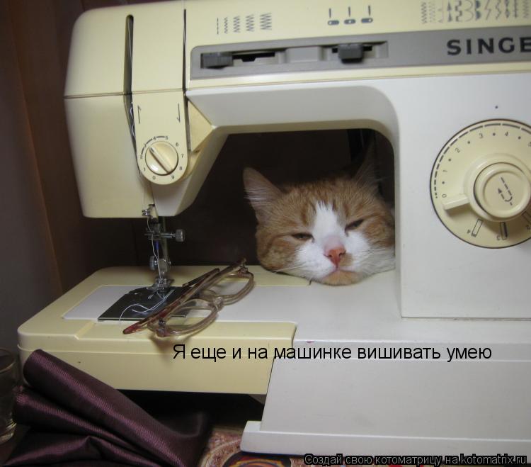 Я еще и на машинке вишивать умею... Котоматрица: Я еще и на машинке вишивать умею