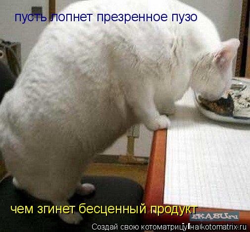 пусть лопнет презренное пузо чем згинет бесценный продукт... Котоматрица: пусть лопнет презренное пузо чем згинет бесценный продукт