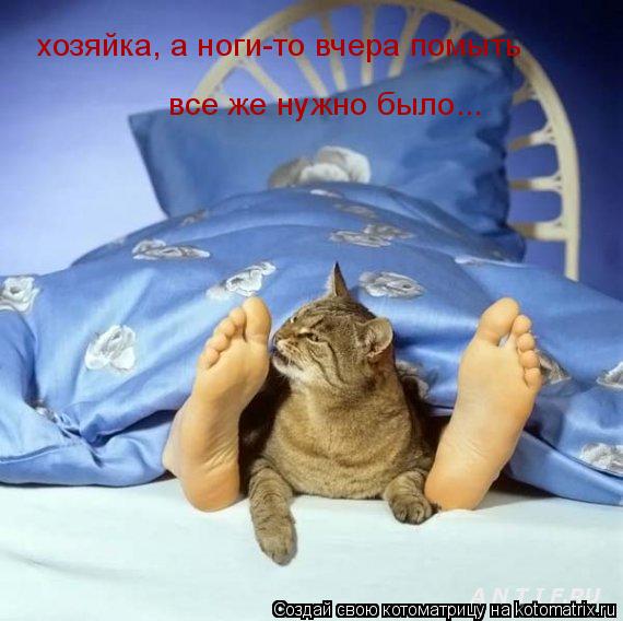 хозяйка, а ноги-то вчера помыть все же нужно было...... Котоматрица: хозяйка, а ноги-то вчера помыть все же нужно было...