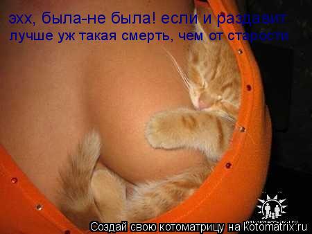 эхх, была-не была! если и раздавит лучше уж такая смерть, чем от старости... Котоматрица: эхх, была-не была! если и раздавит лучше уж такая смерть, чем от старости