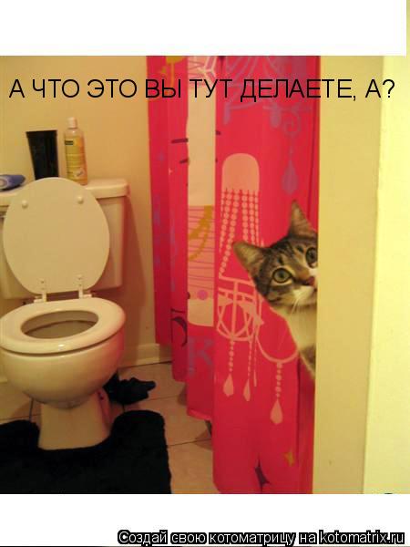 А ЧТО ЭТО ВЫ ТУТ ДЕЛАЕТЕ, А?... Котоматрица: А ЧТО ЭТО ВЫ ТУТ ДЕЛАЕТЕ, А?
