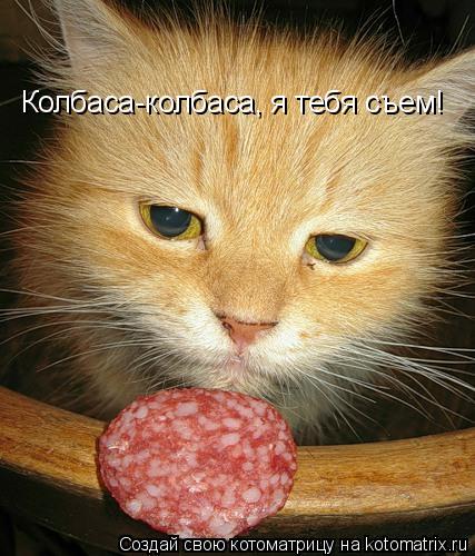Колбаса-колбаса, я тебя съем!... Котоматрица: Колбаса-колбаса, я тебя съем!