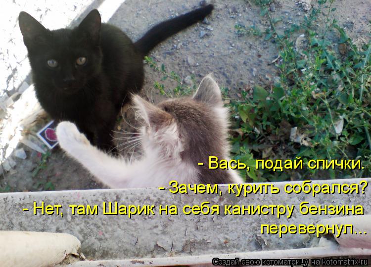 - Вась, подай спички. - Зачем, курить собрался? - Нет, там Шарик на себя канистру бензина перевернул... Котоматрица: - Вась, подай спички. - Зачем, курить собрался? - Нет, там Шарик на себя канистру бензина перевернул...