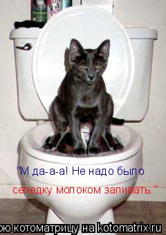 "М да-а-а! Не надо было селедку молоком запивать."... Котоматрица: "М да-а-а! Не надо было селедку молоком запивать."